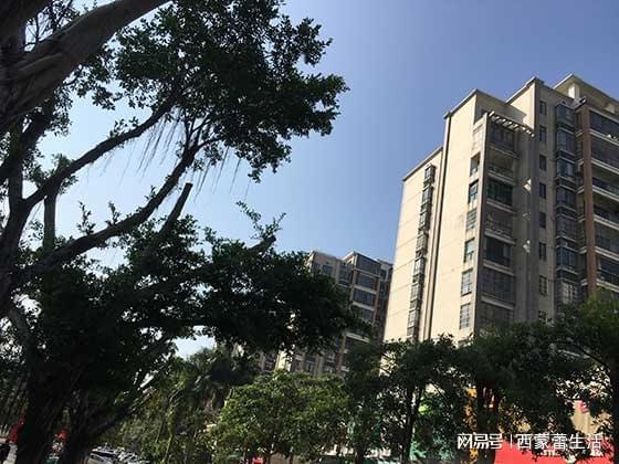 或电动车辆周转贷相关条件有哪些AYX爱游戏长春房屋门面抵押(图3)