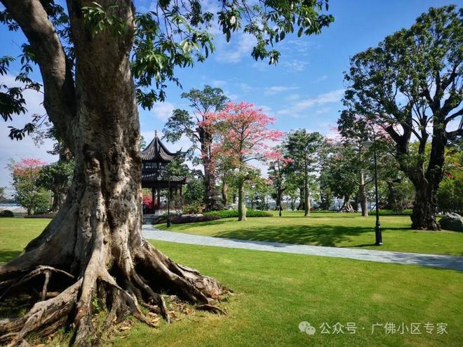 岛五號售楼处:星河湾·半岛定义高端人居爱游戏app体育⚡今日头条@星河湾·半(图32) 岛五號售楼处:星河湾·半岛定义高端人居爱游戏app体育⚡今日头条@星河湾·半(图32)