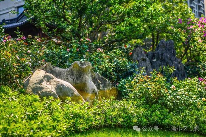 岛五號售楼处:星河湾·半岛定义高端人居爱游戏app体育⚡今日头条@星河湾·半(图20) 岛五號售楼处:星河湾·半岛定义高端人居爱游戏app体育⚡今日头条@星河湾·半(图20)