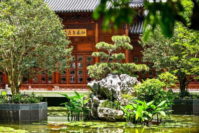 号售楼处发布：半岛五號品质铸就传奇爱游戏app登录⏰通告星河湾半岛5(图3)