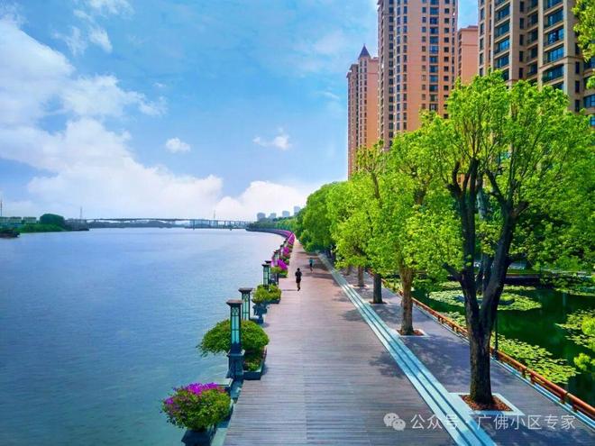 号售楼处发布：半岛五號品质铸就传奇爱游戏app登录⏰通告星河湾半岛5(图22)